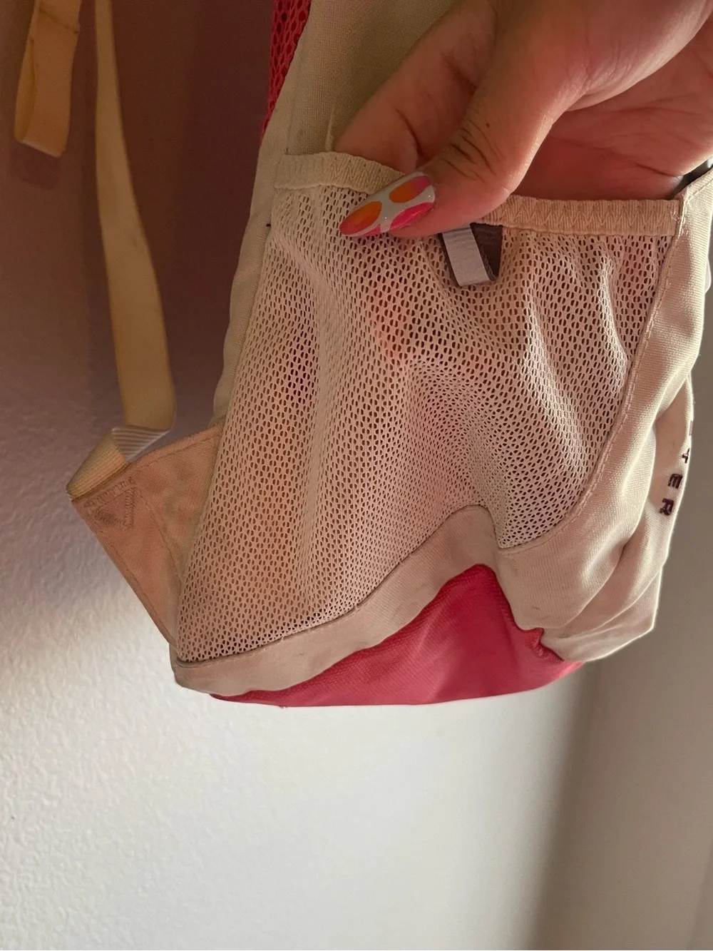 The North Face Cream and Pink Daypack Backpack
